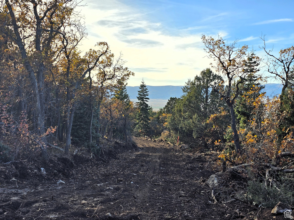 13  PINE CREST DR Mt Pleasant, UT 84647