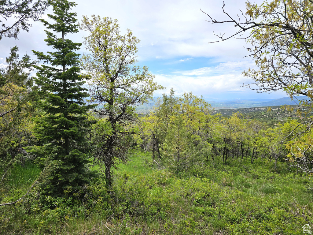 13  PINE CREST DR Mt Pleasant, UT 84647