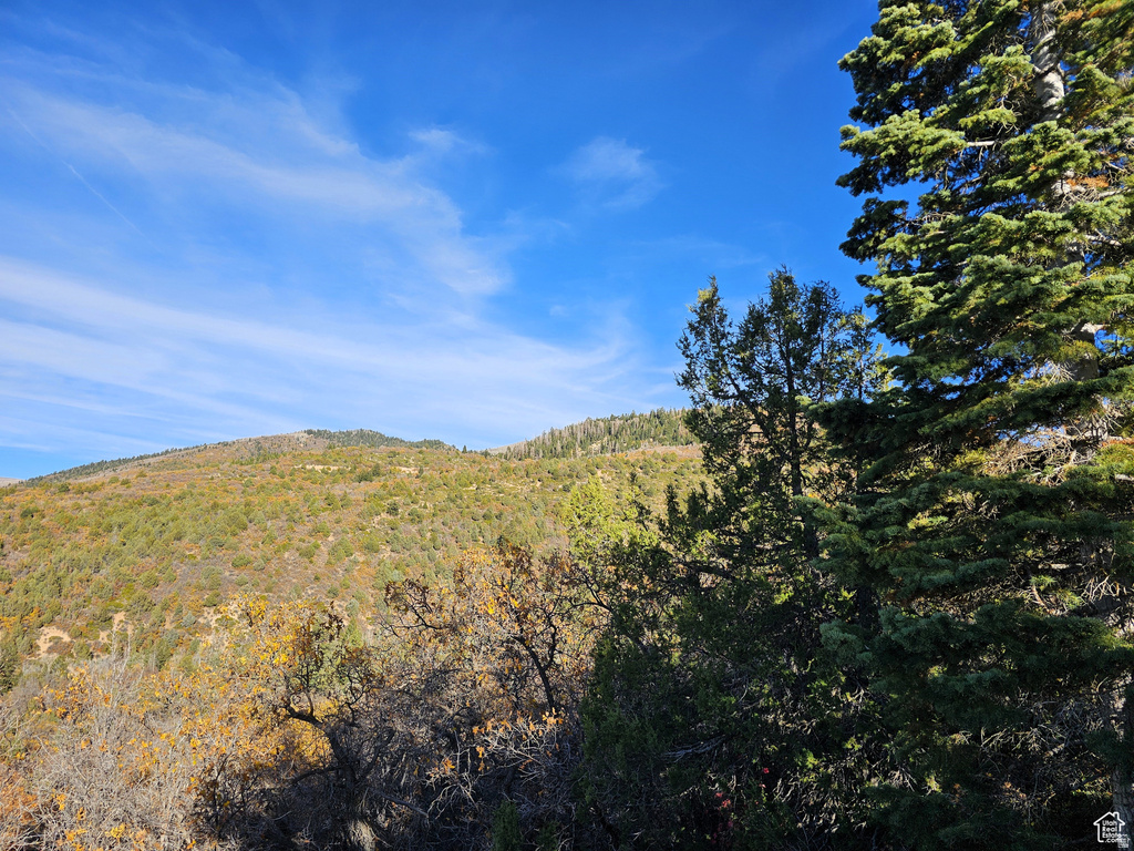 17  PINE CREST DR Mt Pleasant, UT 84647