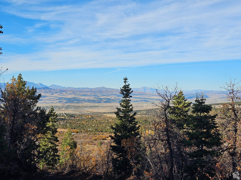 17  PINE CREST DR Mt Pleasant, UT 84647