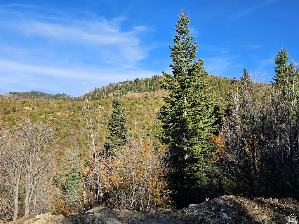 17  PINE CREST DR Mt Pleasant, UT 84647