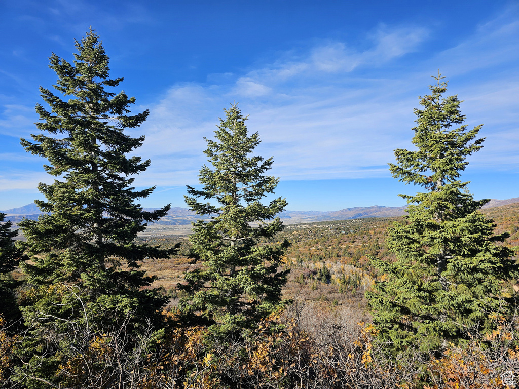 17  PINE CREST DR Mt Pleasant, UT 84647