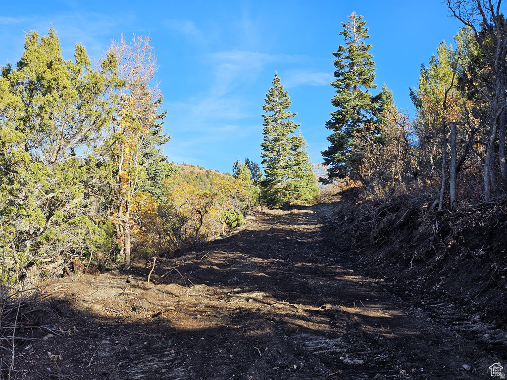 17  PINE CREST DR Mt Pleasant, UT 84647