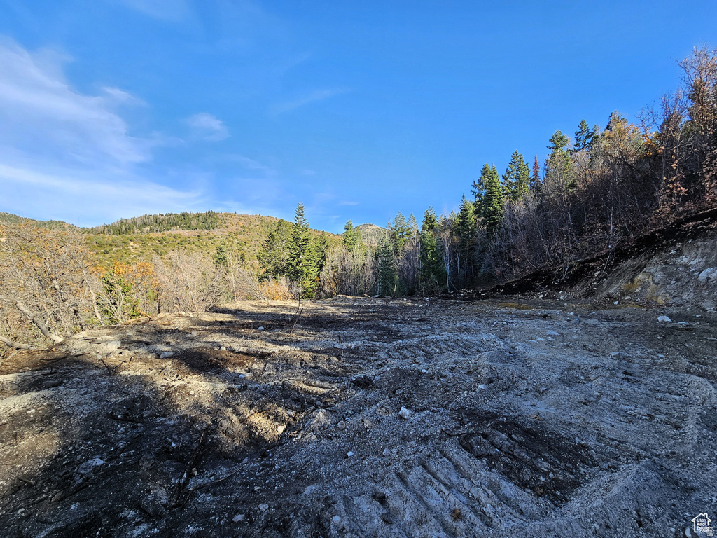 17  PINE CREST DR Mt Pleasant, UT 84647