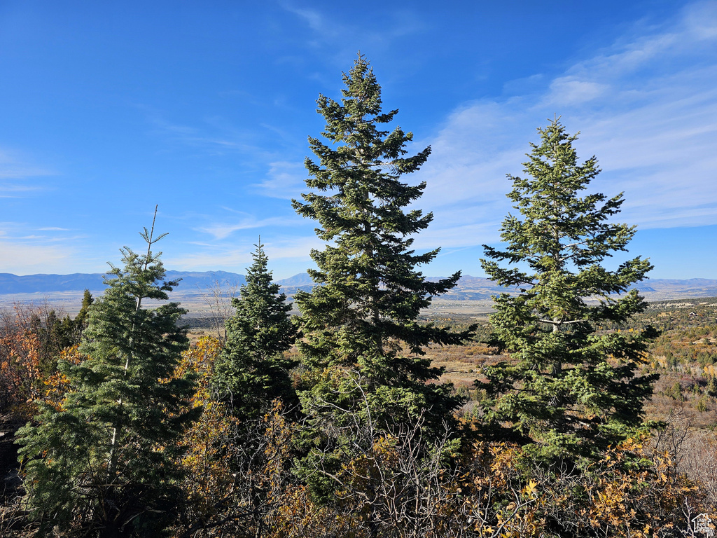 17  PINE CREST DR Mt Pleasant, UT 84647