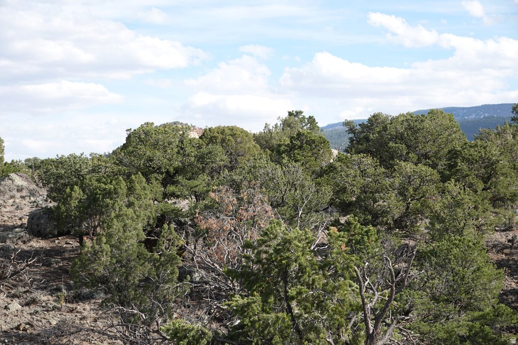 1115 E DONKEY FLATS RD Teasdale, UT 84773