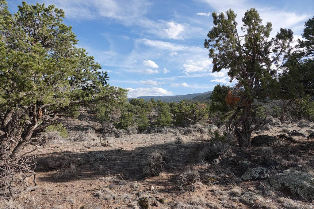 1115 E DONKEY FLATS RD Teasdale, UT 84773