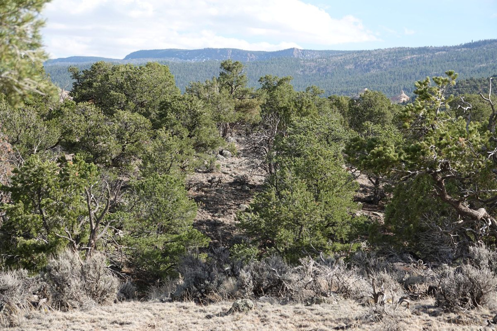 1115 E DONKEY FLATS RD Teasdale, UT 84773