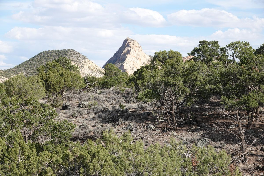 1115 E DONKEY FLATS RD Teasdale, UT 84773