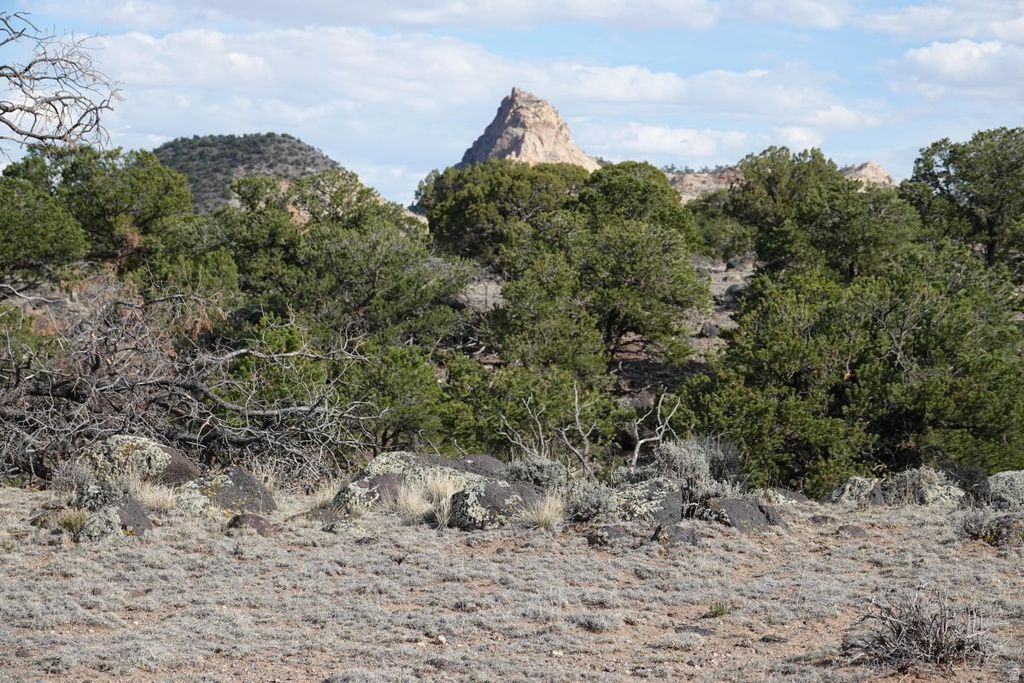 1115 E DONKEY FLATS RD Teasdale, UT 84773