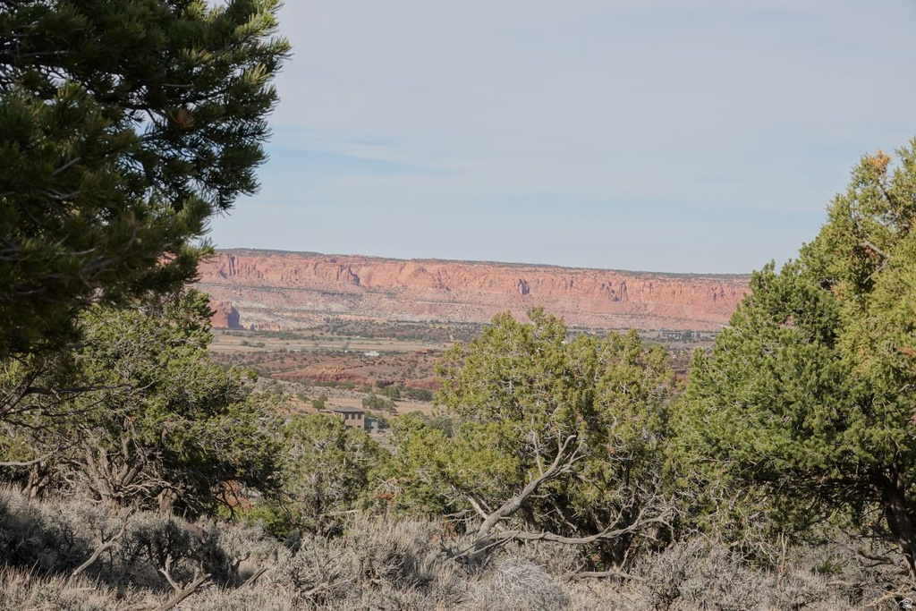 1115 E DONKEY FLATS RD Teasdale, UT 84773