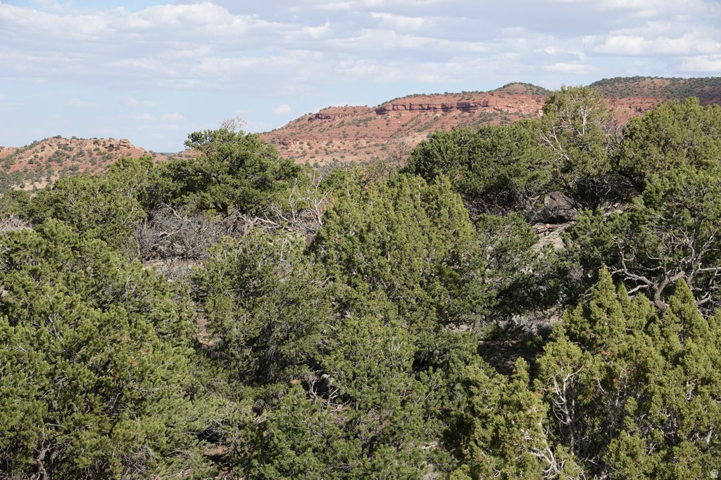 1115 E DONKEY FLATS RD Teasdale, UT 84773