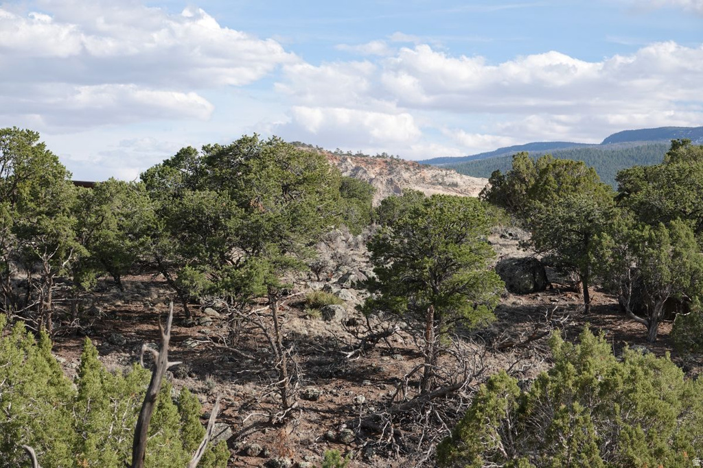 1115 E DONKEY FLATS RD Teasdale, UT 84773