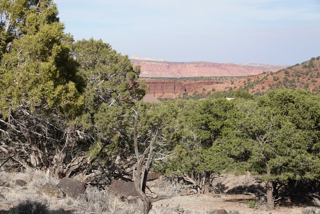 1115 E DONKEY FLATS RD Teasdale, UT 84773