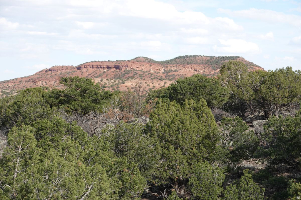 1115 E DONKEY FLATS RD Teasdale, UT 84773