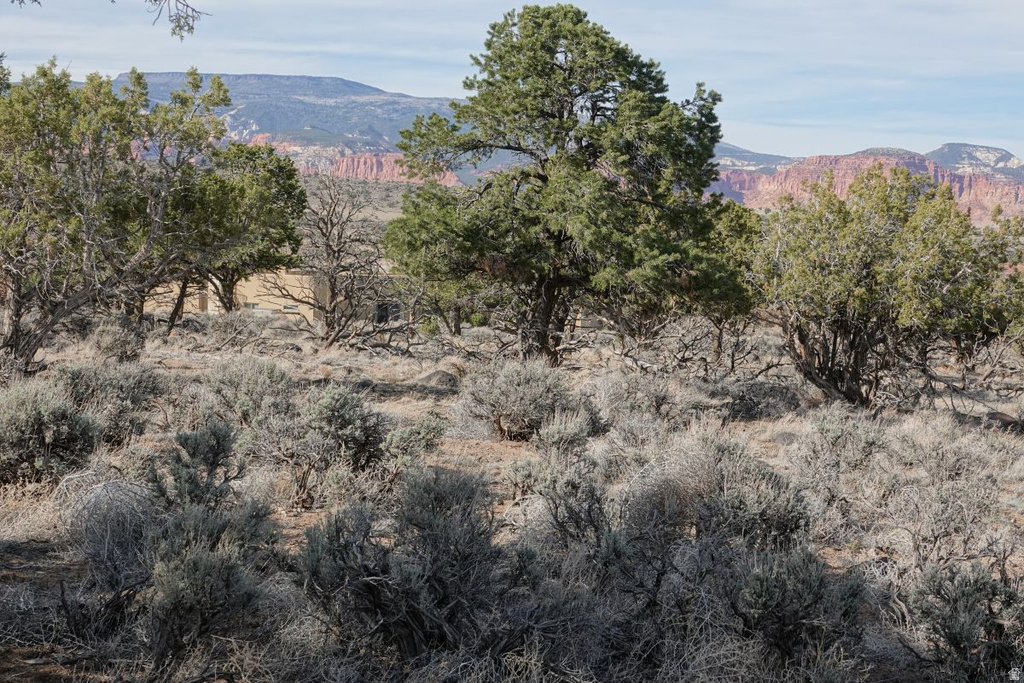 1115 E DONKEY FLATS RD Teasdale, UT 84773