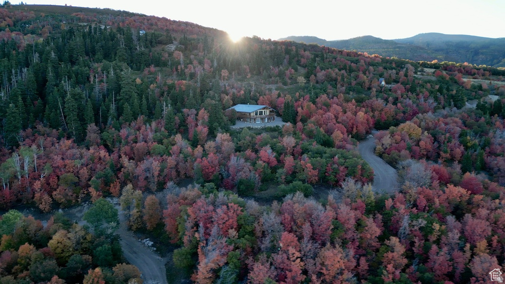 23000 N 14125 E Fairview, UT 84629