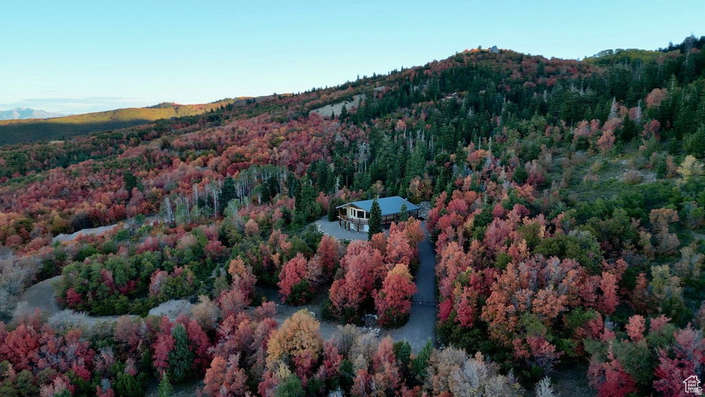 23000 N 14125 E Fairview, UT 84629