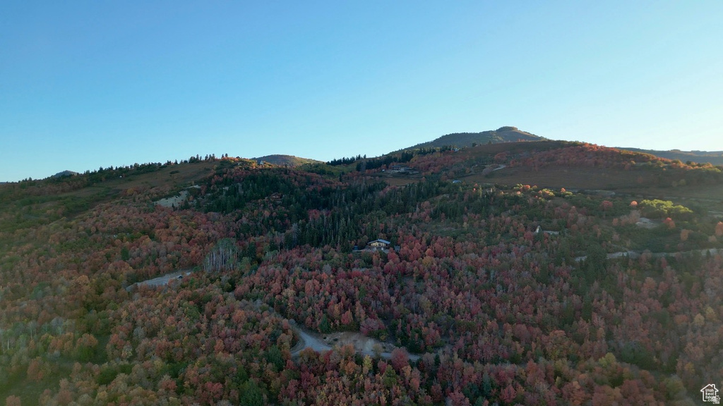 23000 N 14125 E Fairview, UT 84629