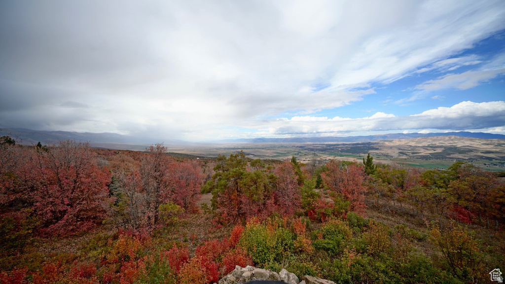 23000 N 14125 E Fairview, UT 84629