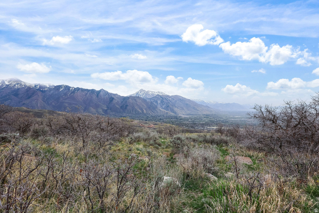 2181 E BALD EAGLE CT Draper, UT 84020