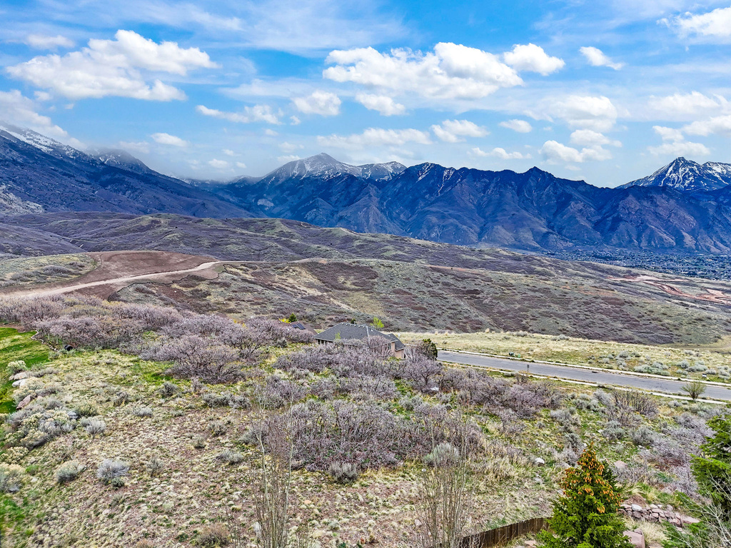 2181 E BALD EAGLE CT Draper, UT 84020