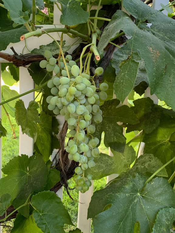 1445 W SILVERCREEK DR Layton, UT 84041