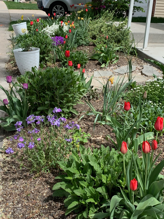 1445 W SILVERCREEK DR Layton, UT 84041