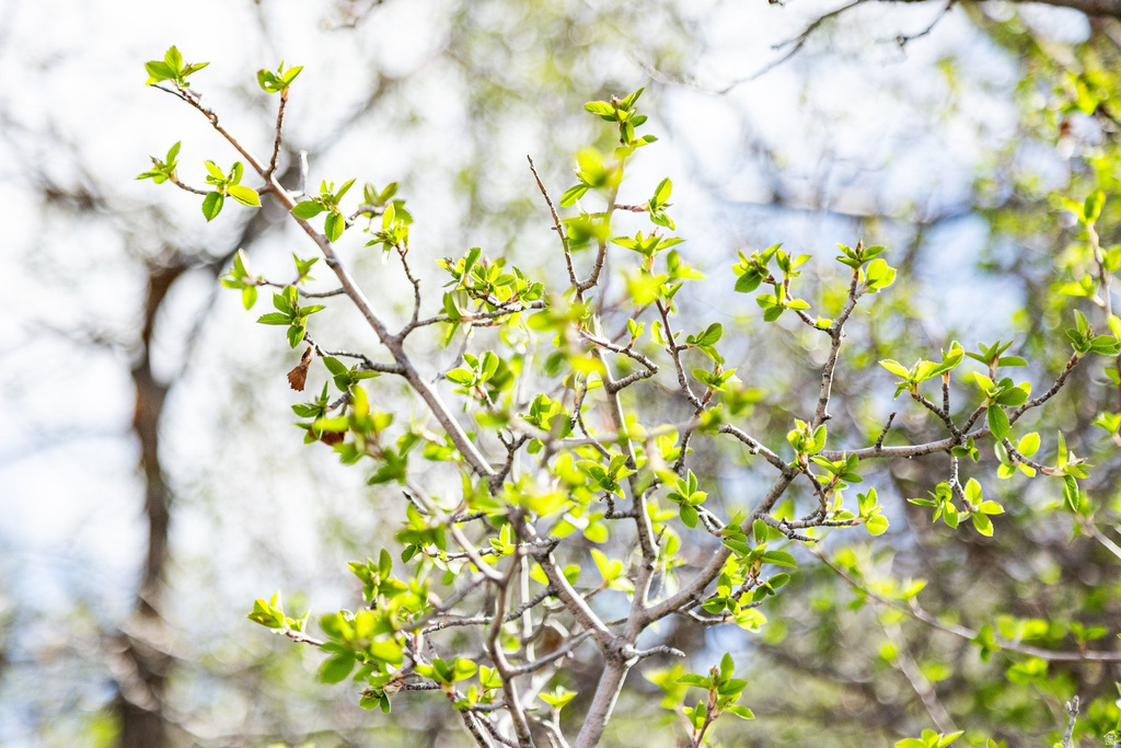 9406 N RESERVIOR VIEW CT Kamas, UT 84036