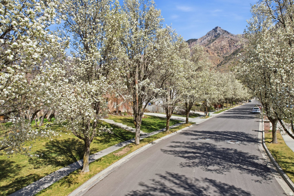 1201 E PRESTON DR Alpine, UT 84004