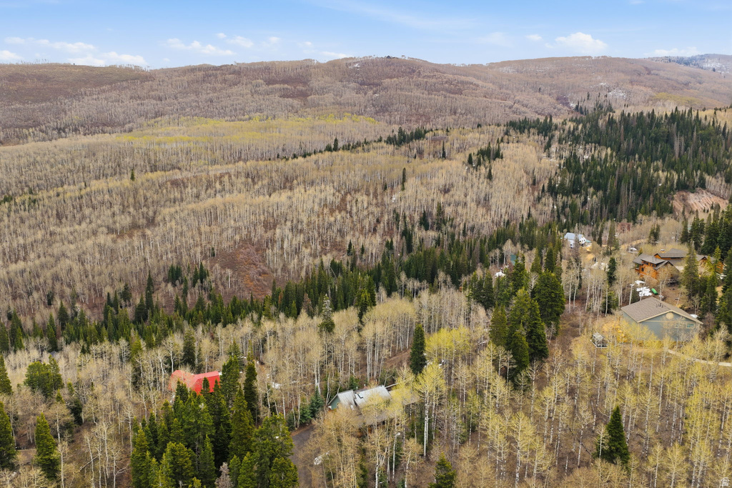 3191 S FORGET ME NOT LN #100 Heber City, UT 84032