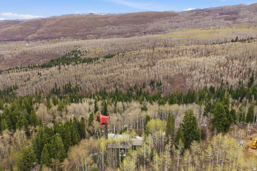 3191 S FORGET ME NOT LN #100 Heber City, UT 84032