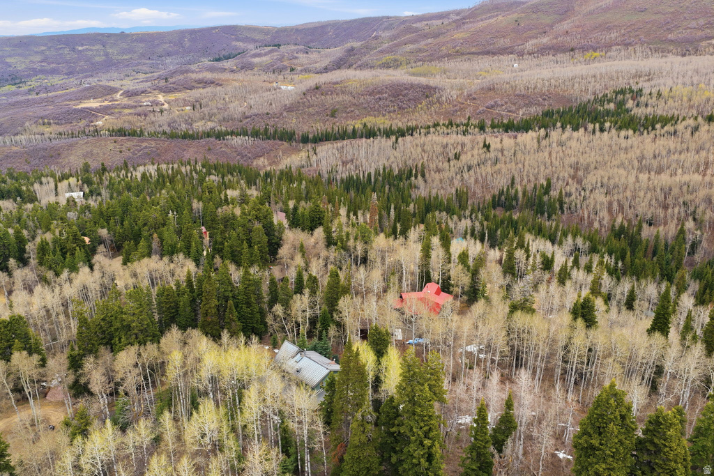 3191 S FORGET ME NOT LN #100 Heber City, UT 84032