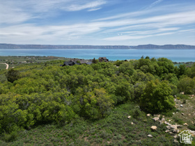 244  COLD SPRINGS DR Fish Haven, ID 83287