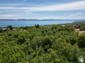 244  COLD SPRINGS DR Fish Haven, ID 83287