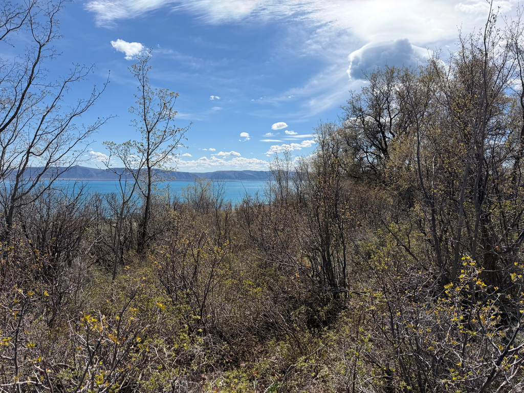 248  HICKOCK DR Fish Haven, ID 83287