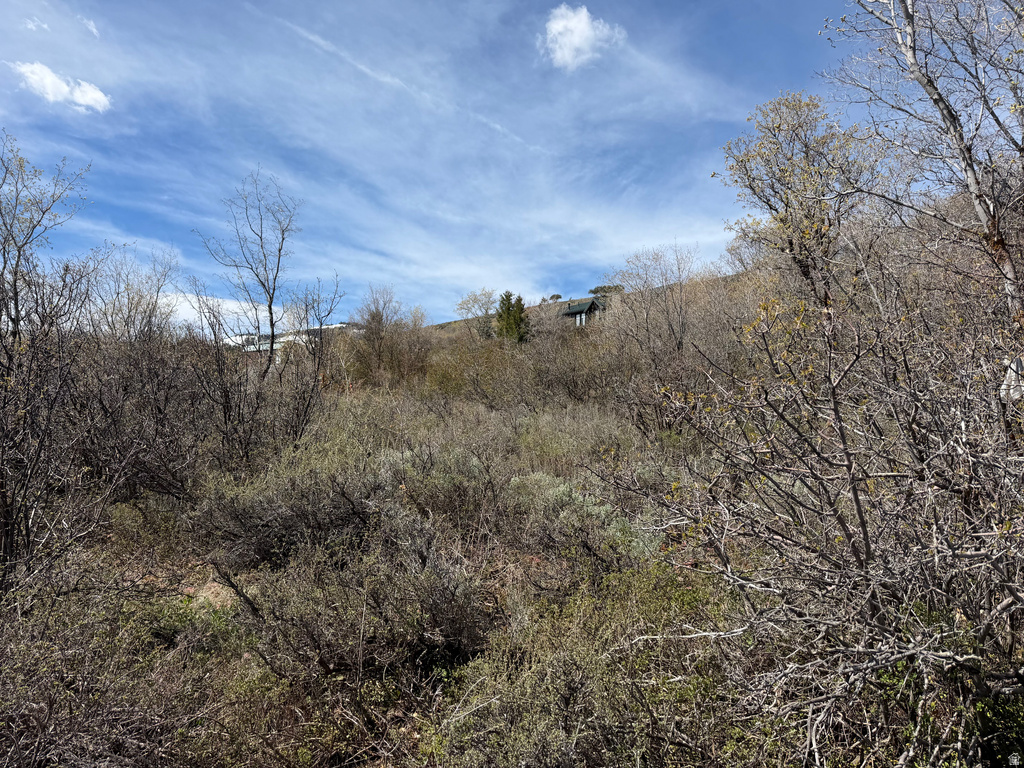 248  HICKOCK DR Fish Haven, ID 83287