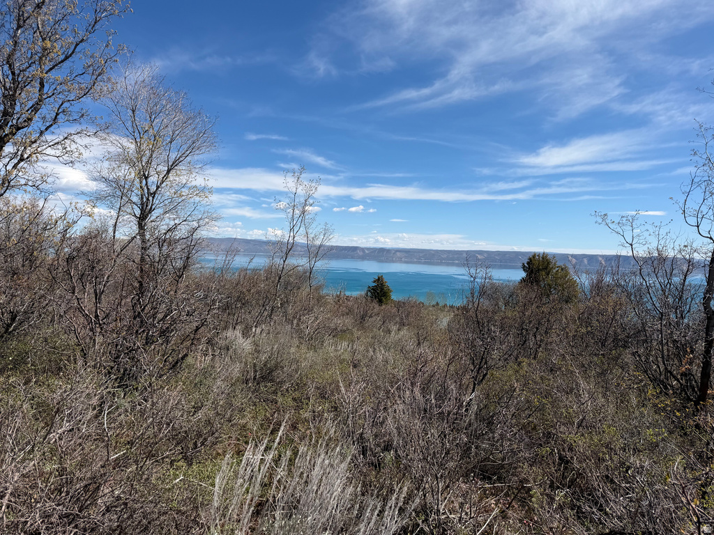 248  HICKOCK DR Fish Haven, ID 83287