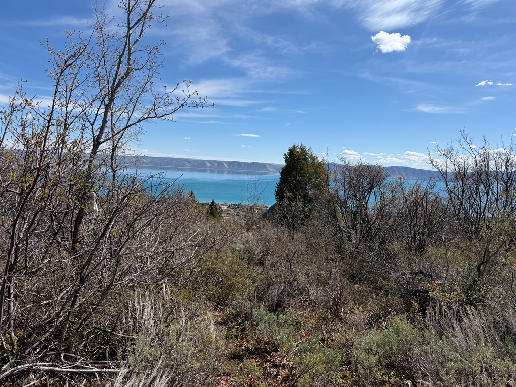 248  HICKOCK DR Fish Haven, ID 83287