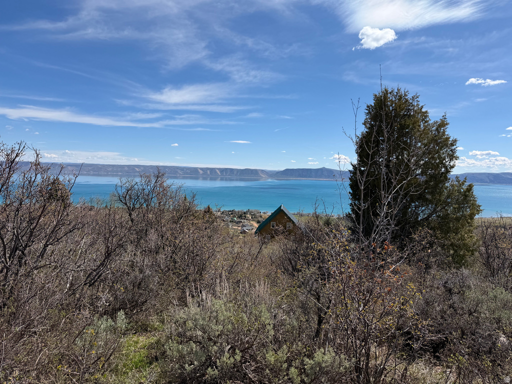 248  HICKOCK DR Fish Haven, ID 83287