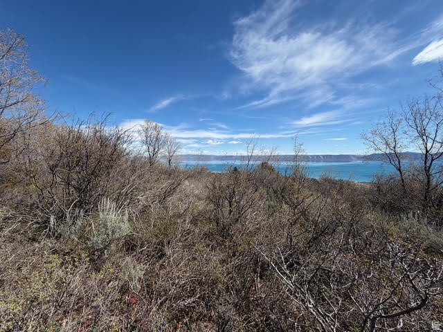 193  HICKOCK DR Fish Haven, ID 83287