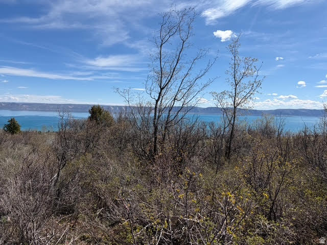 193  HICKOCK DR Fish Haven, ID 83287