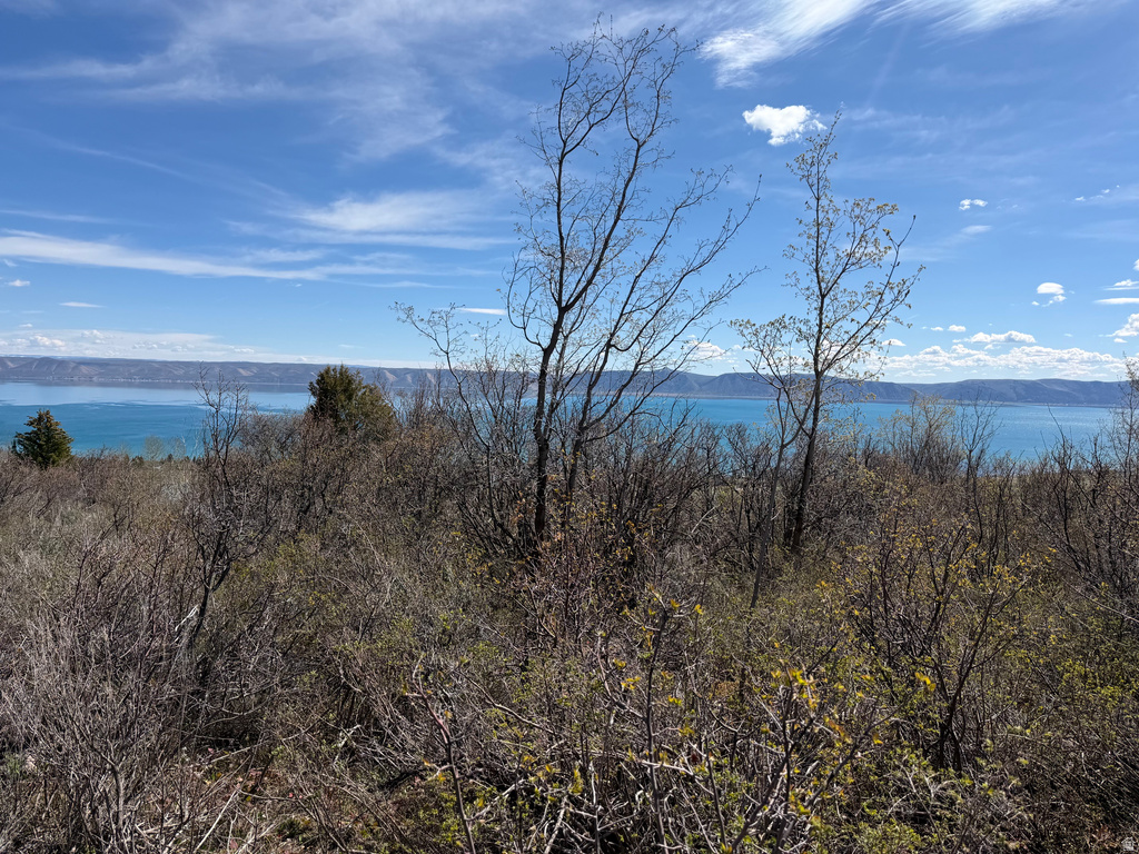 193  HICKOCK DR Fish Haven, ID 83287