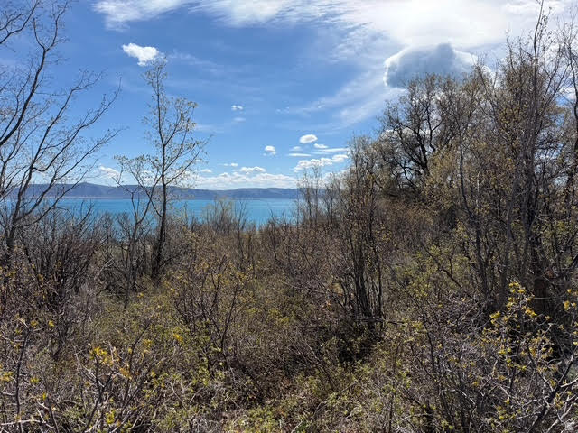 193  HICKOCK DR Fish Haven, ID 83287