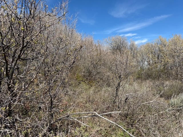 193  HICKOCK DR Fish Haven, ID 83287