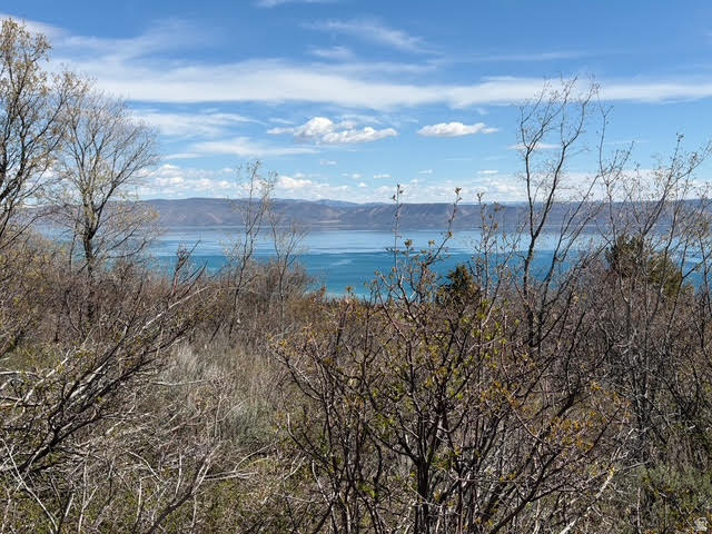 193  HICKOCK DR Fish Haven, ID 83287