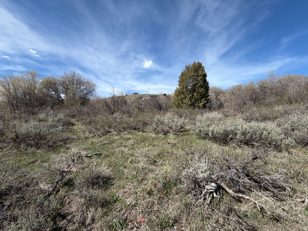 193  HICKOCK DR Fish Haven, ID 83287