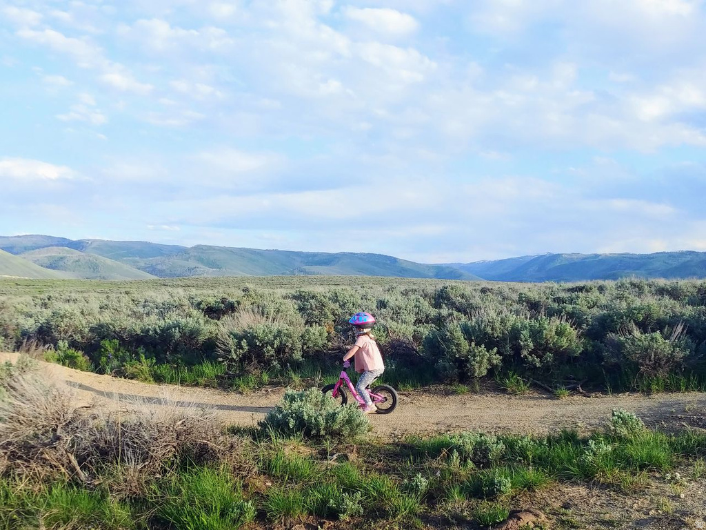 128 ASPEN COVE DR Scofield, UT 84526