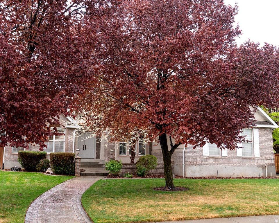899 E 800 S Springville, UT 84663