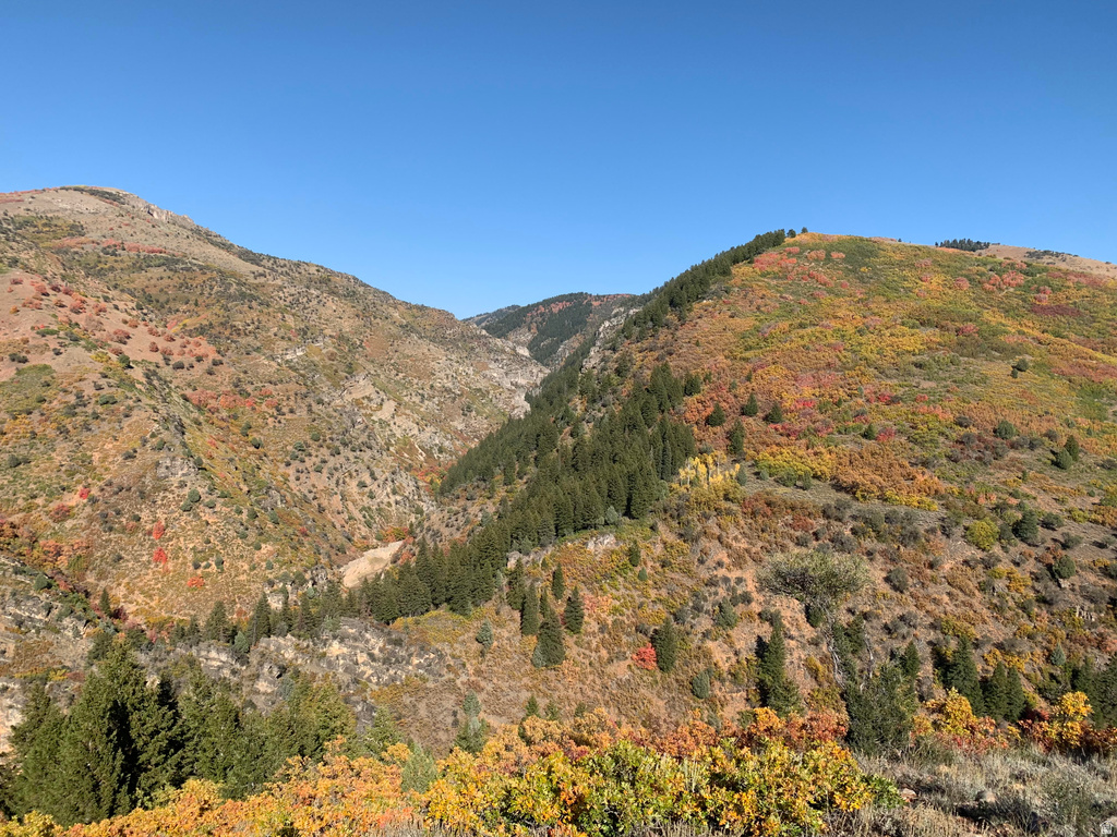 152 S PINE DR #33 Huntsville, UT 84317